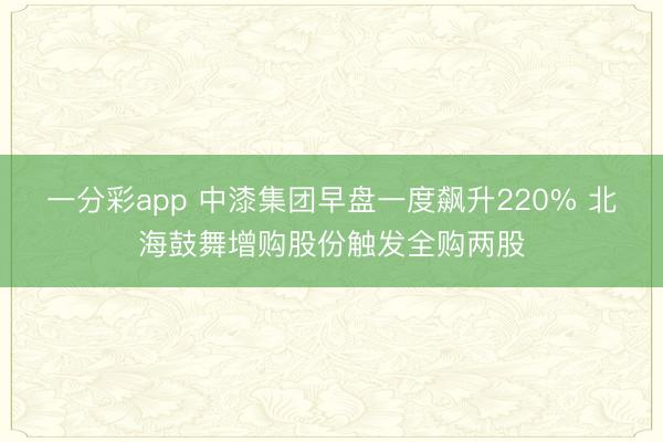 一分彩app 中漆集团早盘一度飙升220% 北海鼓舞增购股份触发全购两股